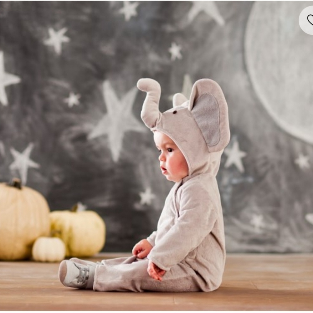 Pottery Barn Kids Baby Elephant Costume